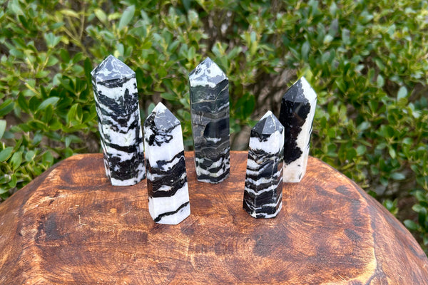 Zebra Jasper Crystal Points