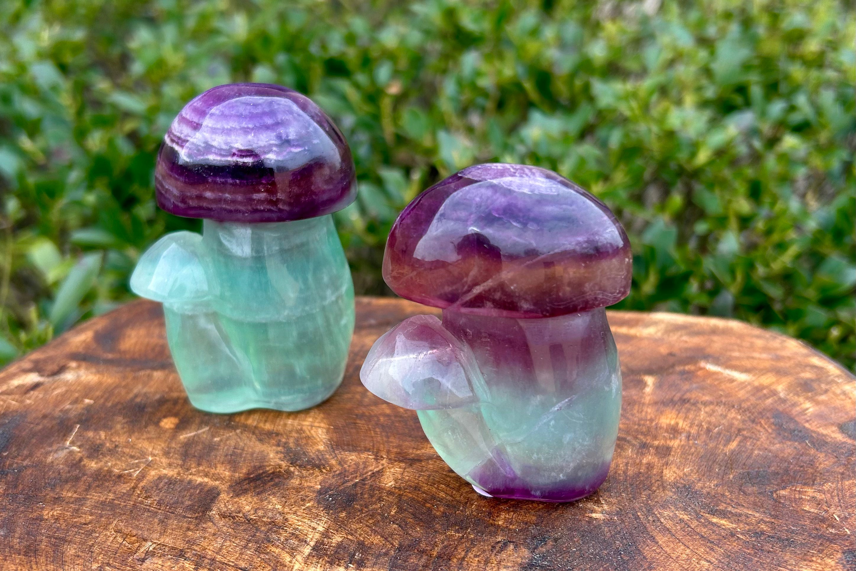 Mushroom Crystal Carvings