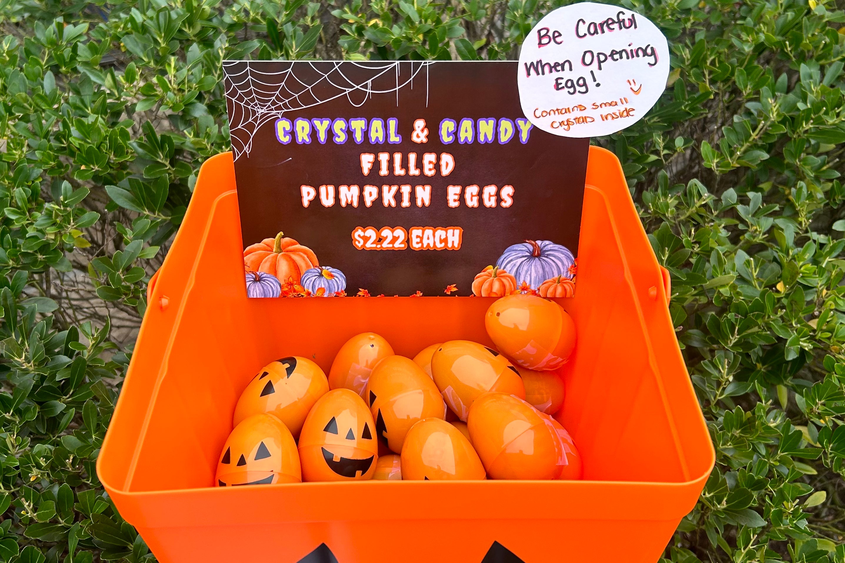 Crystal and Candy Filled Pumpkin Eggs