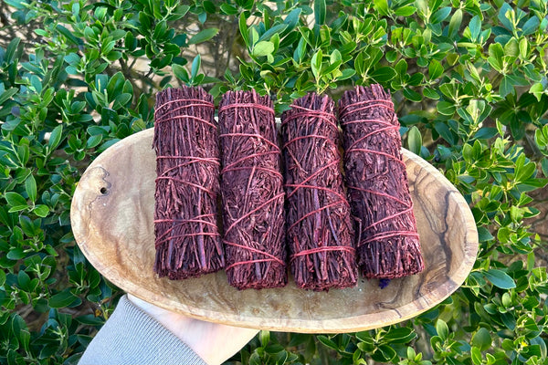 Dragons Blood Mountain Red Sage Smudge Stick