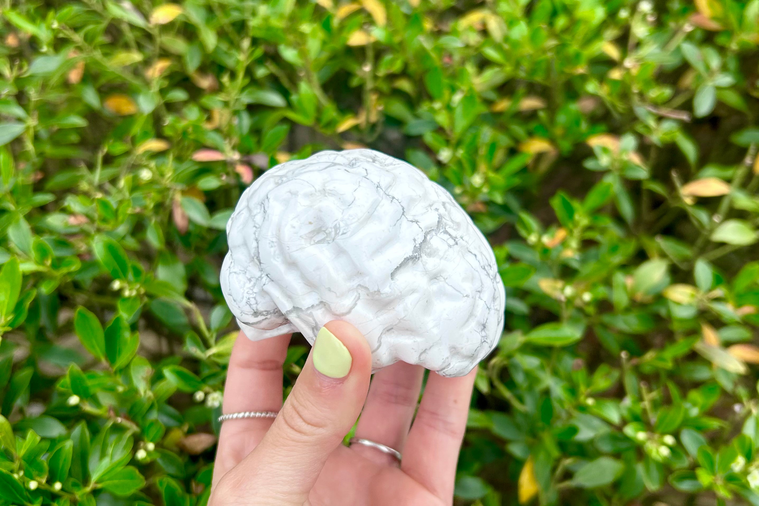 Brain Crystal Carving
