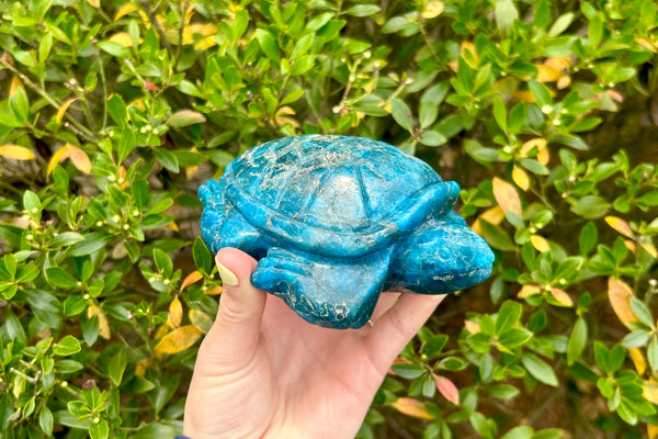 Turtle Big Crystal Carving