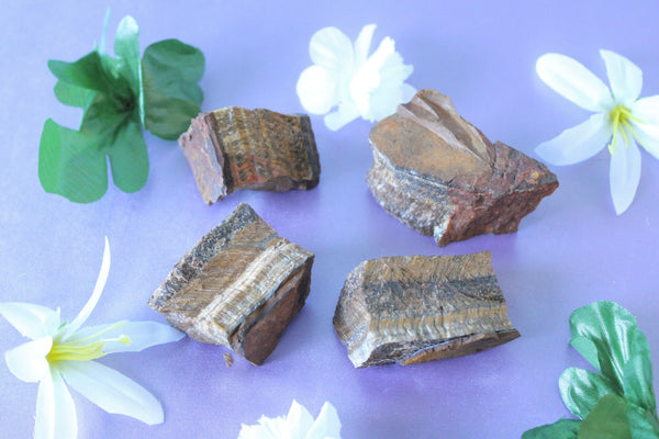 Tigers Eye Raw Stones