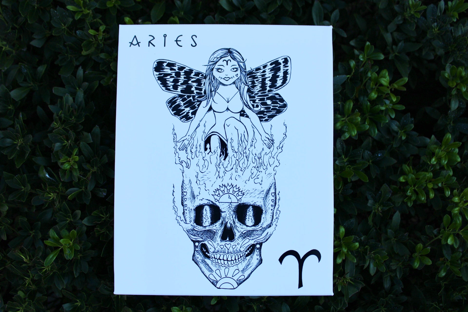 Local Artist Zodiac Fairy Canvas Prints
