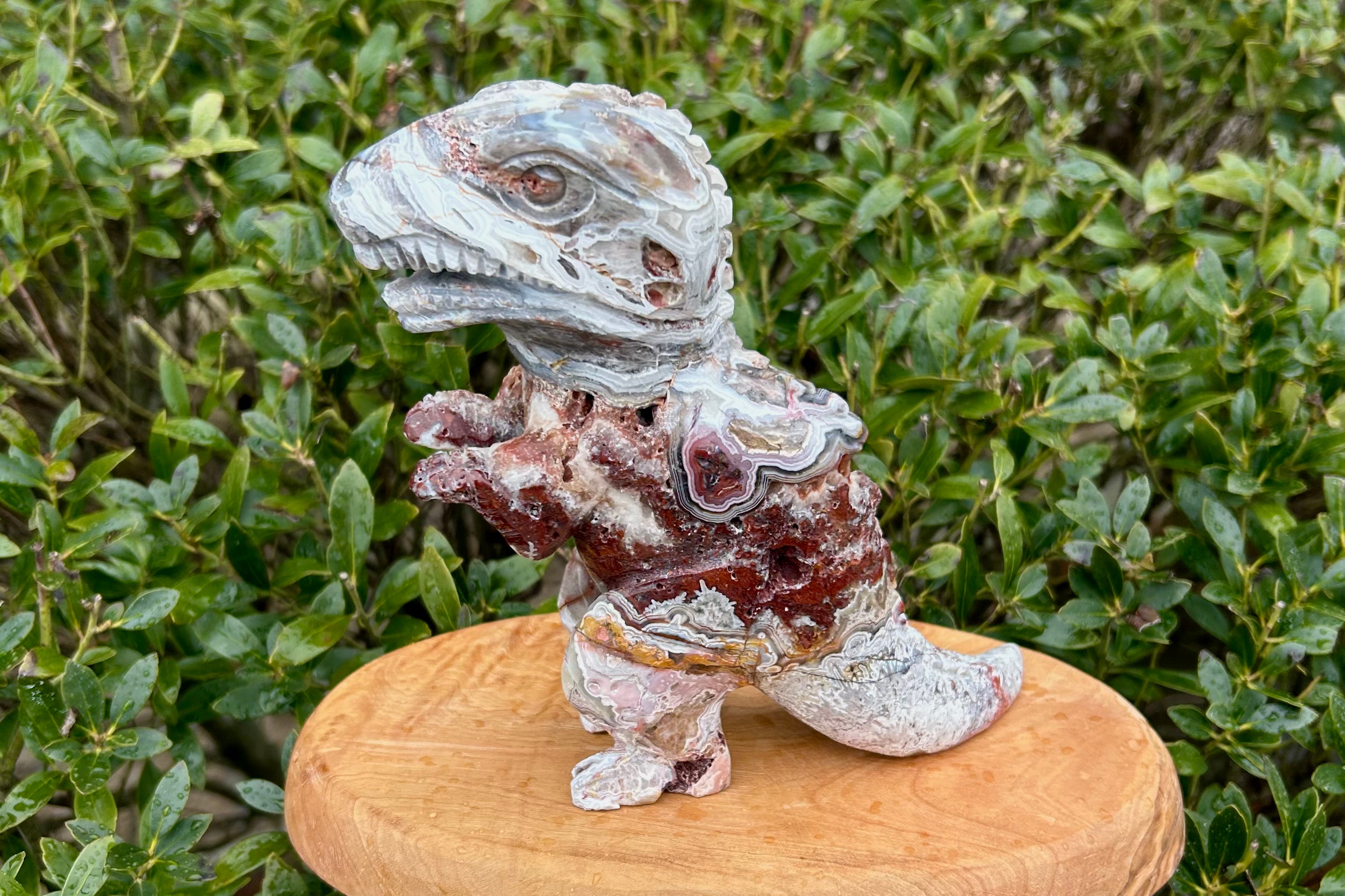 Big Dinosaur Crazy Lace Agate Crystal Carving
