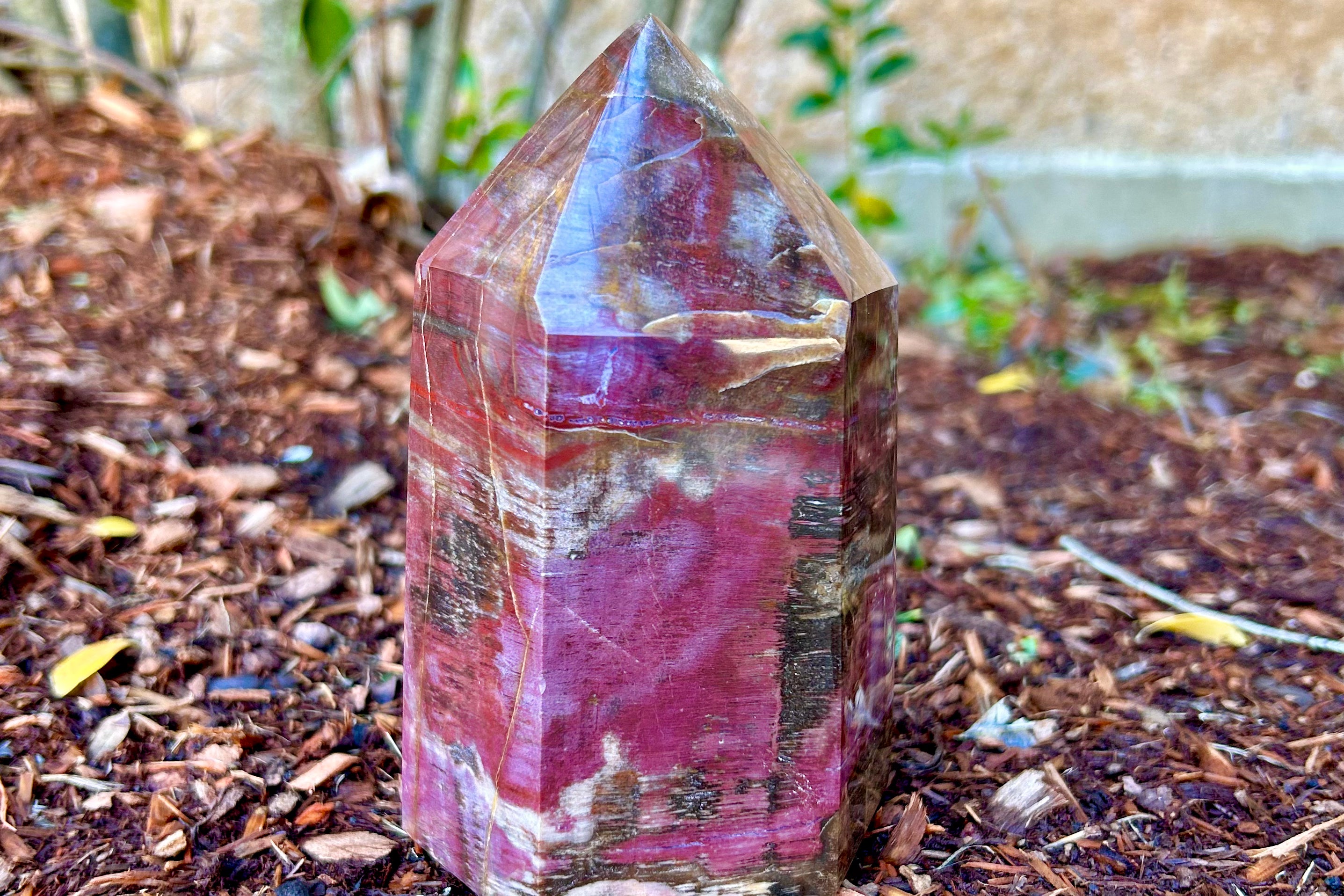 Petrified Wood Crystal Tower