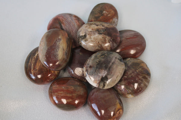 Petrified Wood Crystal Ovals