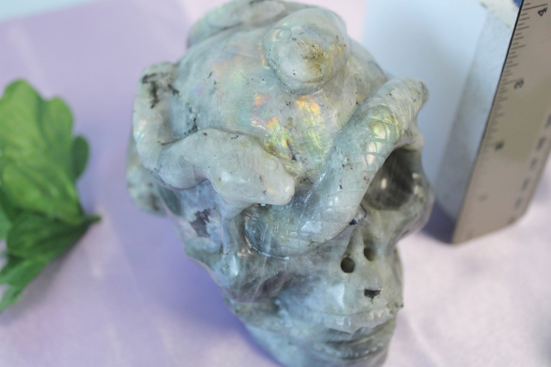 Labradorite with Snake Crystal Skull