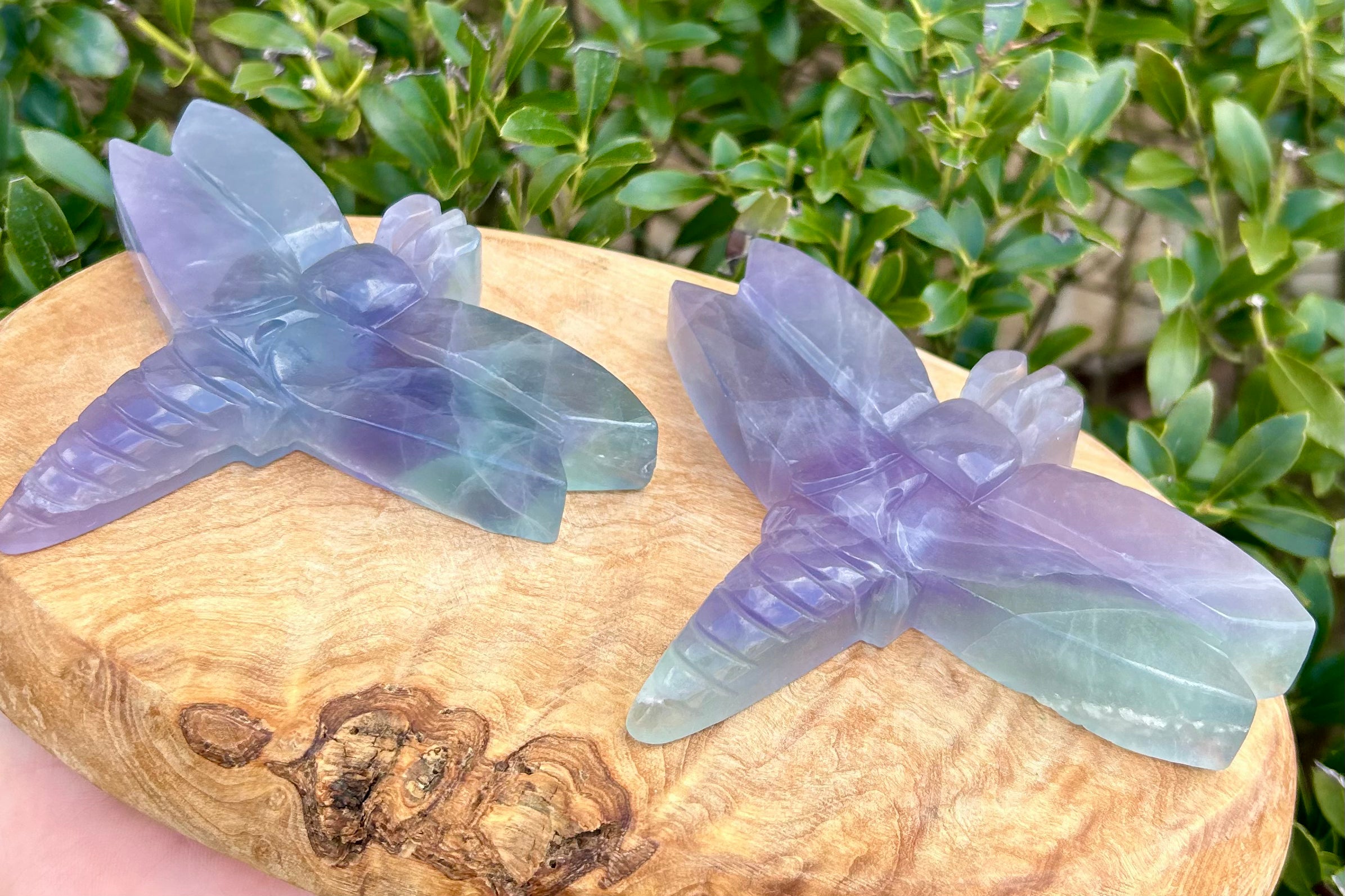 Dragonfly Crystal Carving