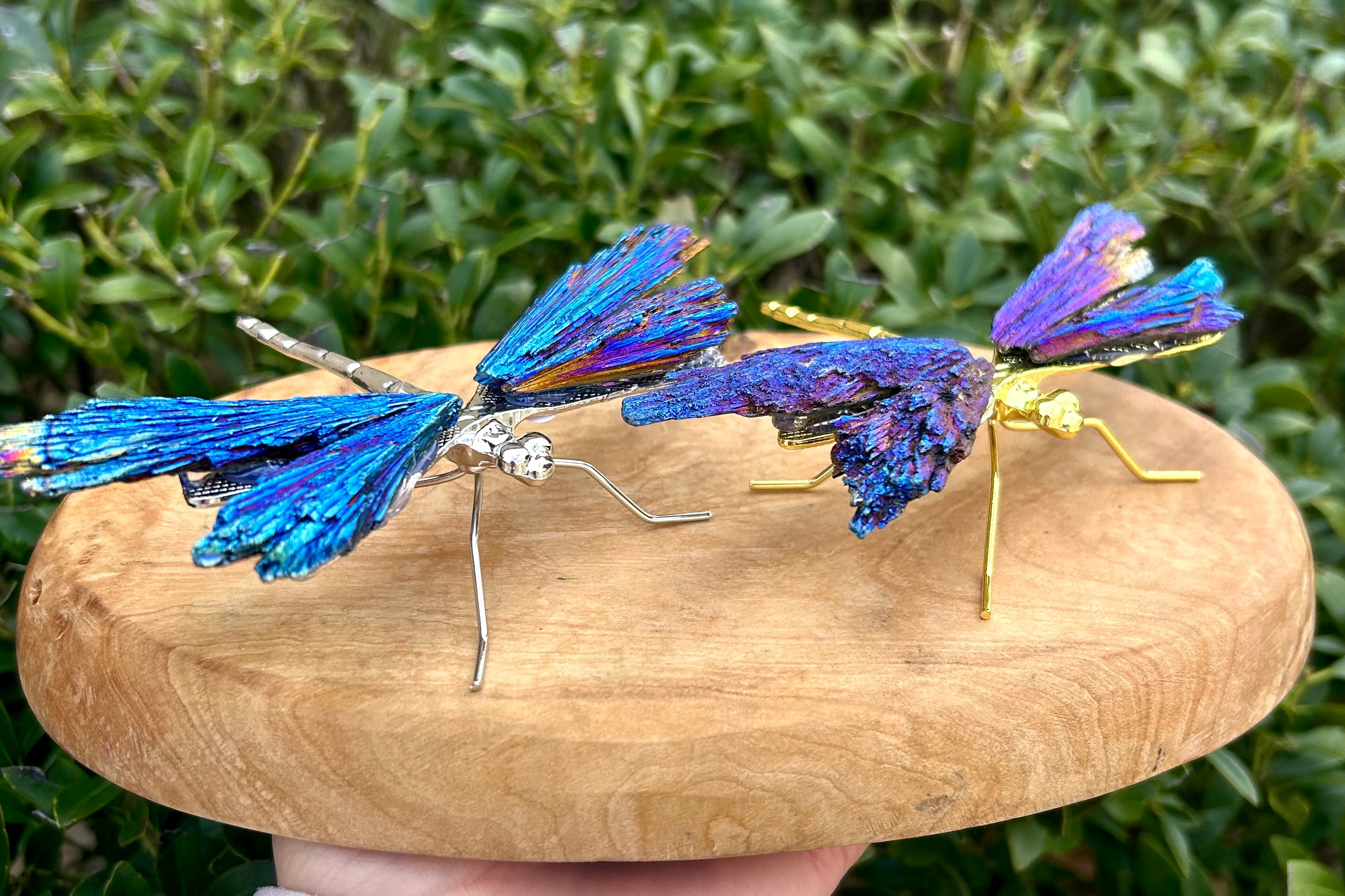 Black Kyanite with Titanium Aura coated Dragonfly Crystal Carving