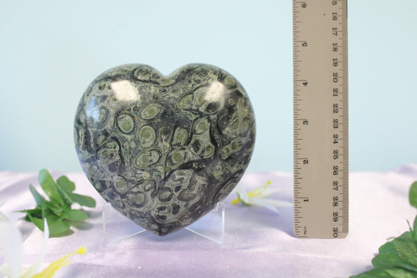 Kambaba Jasper Crystal Heart