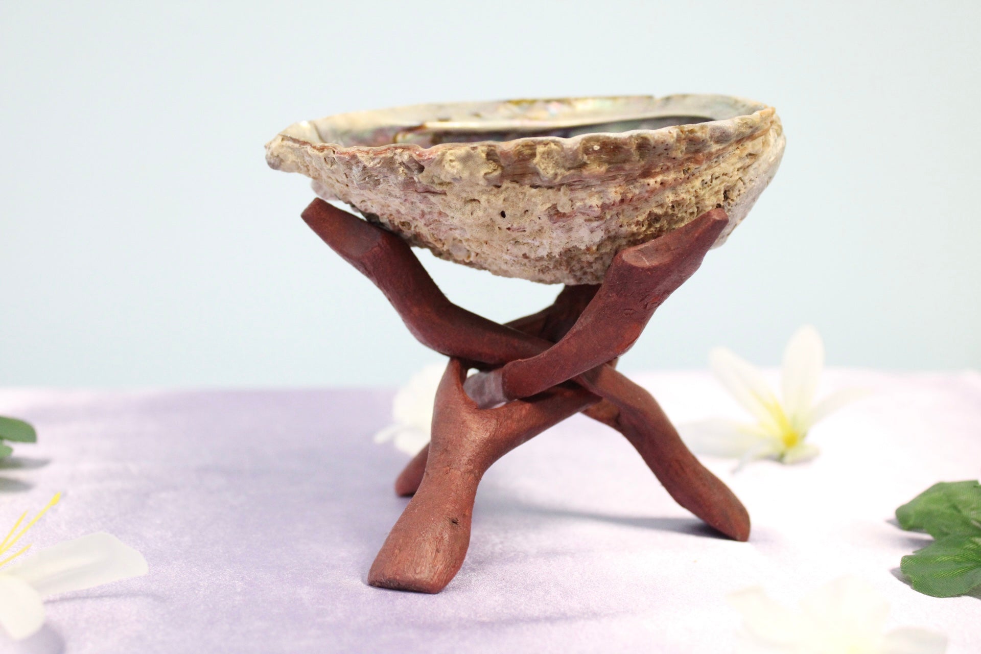 Abalone Shell Stand – ScorpZone