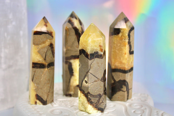 Septarian Crystal Point