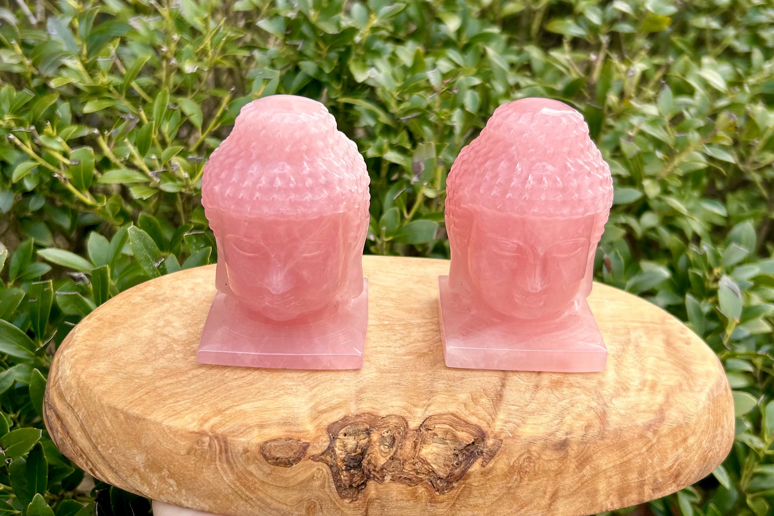 Rose Quartz Budha Crystal Heads