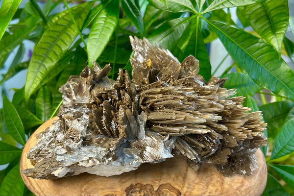 Barite Crystal Specimens (Blue & Regular)