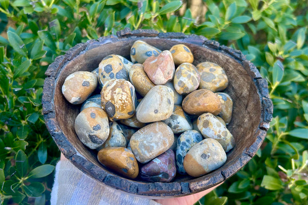 Leopard Skin Jasper Tumblestone