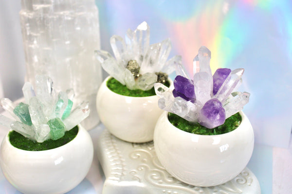 Crystal Flower Pot