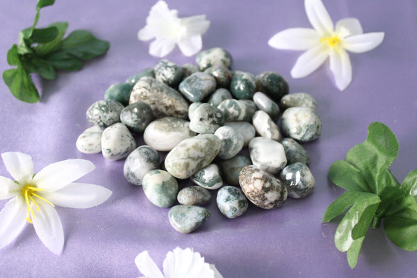 Tree Agate Tumbled