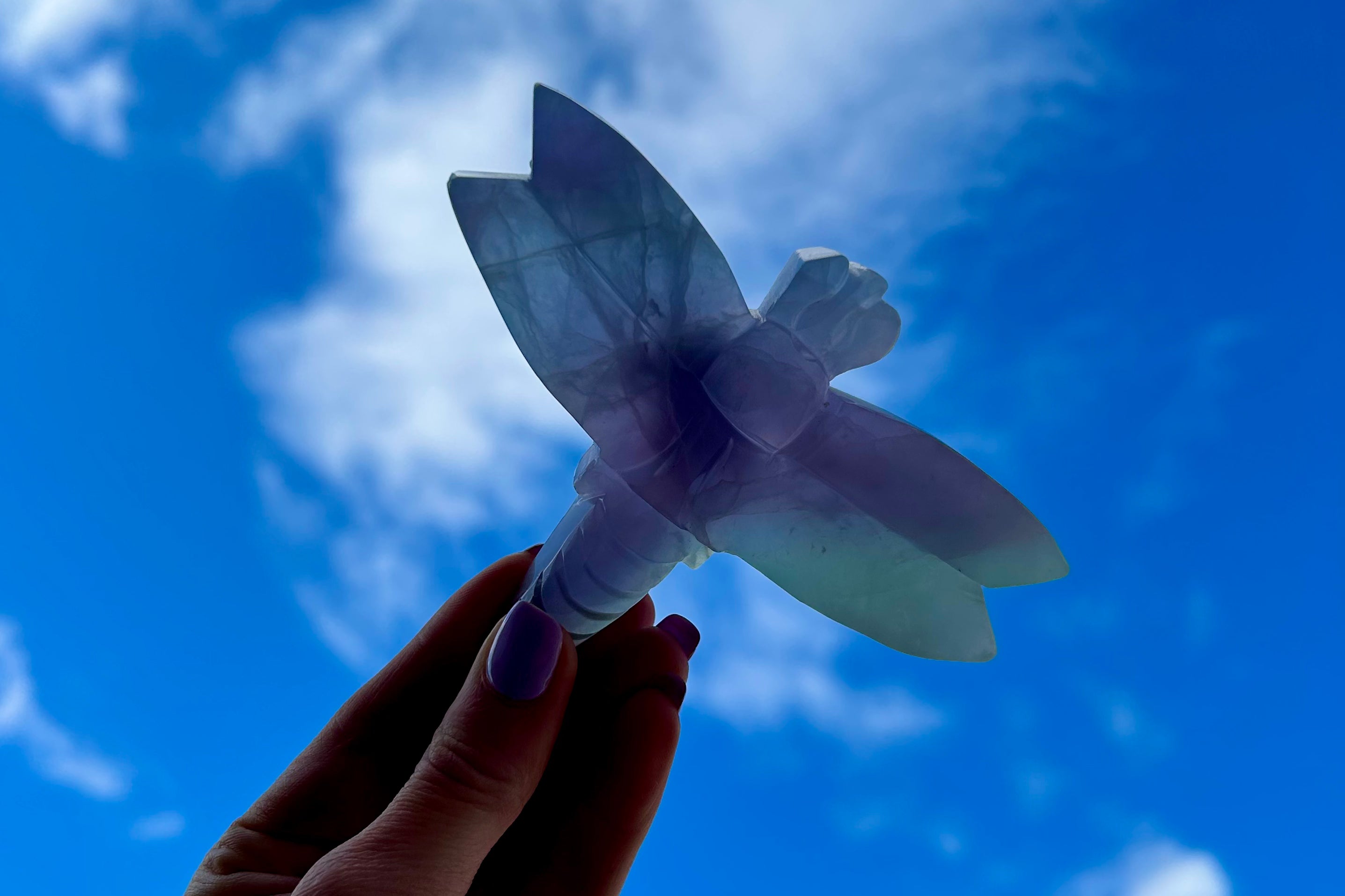 Dragonfly Crystal Carving