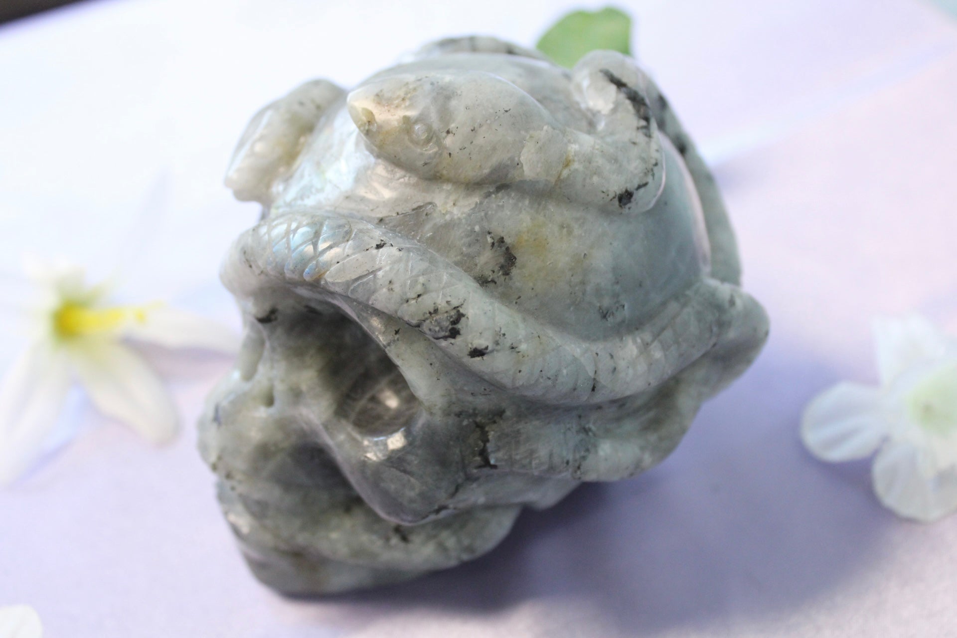 Labradorite with Snake Crystal Skull