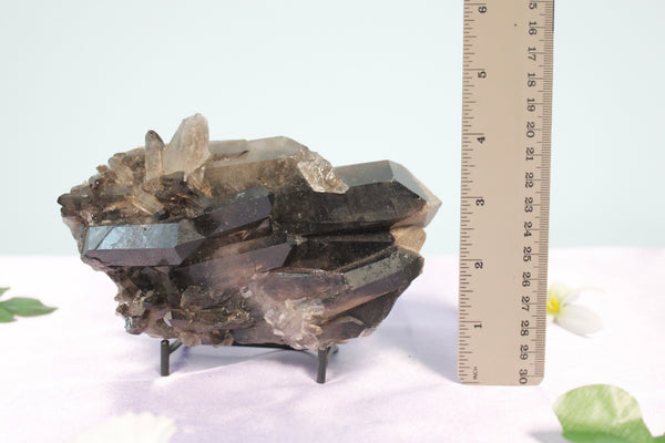 Smoky Quartz Cluster